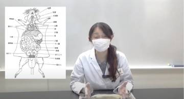 プラっとサイエンス