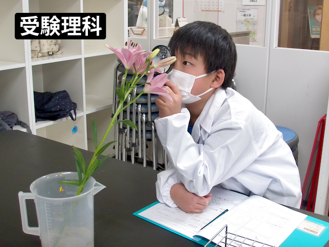 考える・理解する植物のつくり
