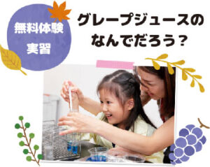 グレープジュースのなんでだろう?