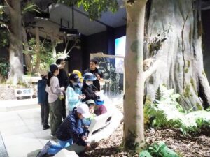 奄美世界遺産センター