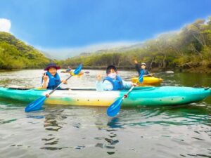 マングローブ林カヌー探検