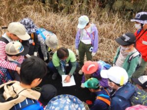 どの道を進んだら山頂にたどり着けるかな？地図と磁石で正しい道を見つけよう！
