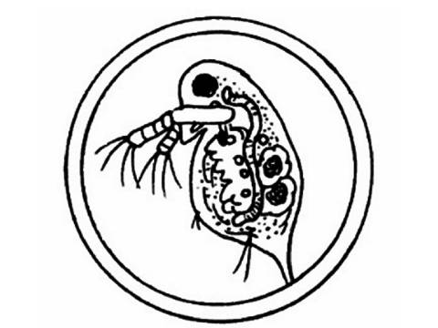 想像力と判断力が身につきます