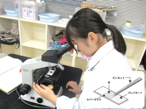 科学技術の基礎を学びます。