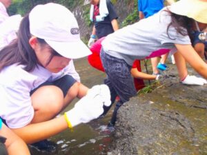 丁寧にじっくり化石を探す