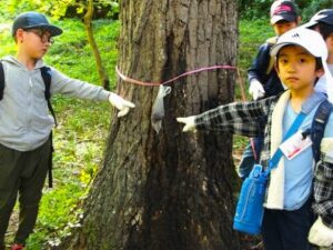 秘伝のトラップ