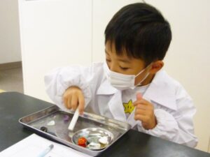 触って、観察して、石の特徴を捉えて分類しよう！