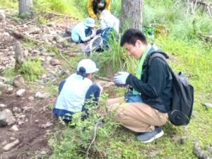 すごいの見つけちゃった