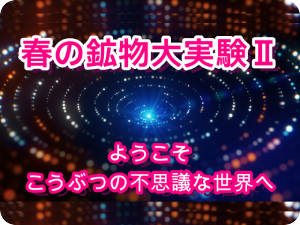 春のこうぶつ大実験Ⅱ