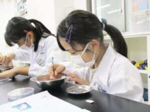 海洋プラスチック