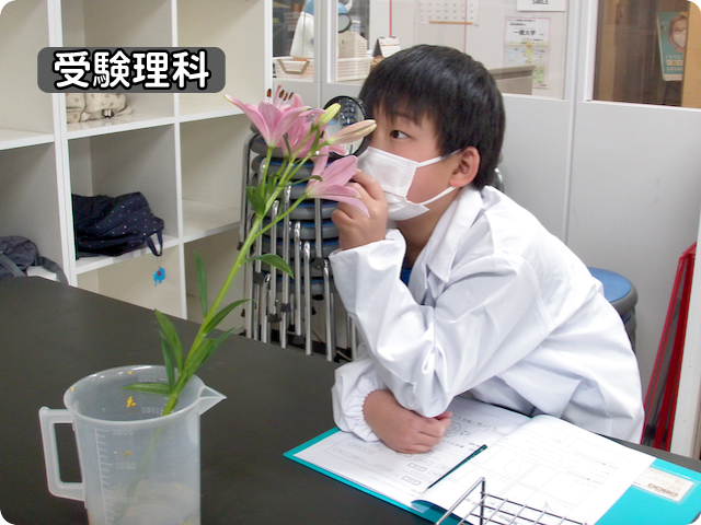 考える・理解する植物のつくり