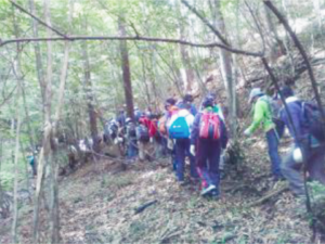 涼しい川沿いの道を採集地目指して進みます。