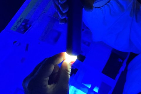 ジオード中から何がでてくる?