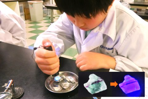 光る鉱物をつくってみよう!