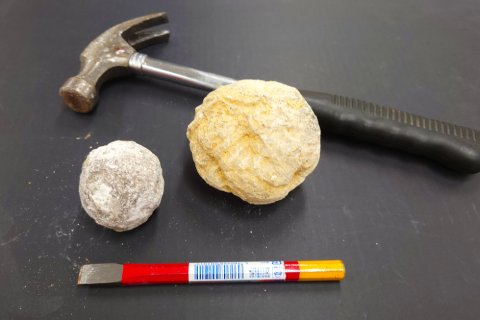 わってみよう!中には何がある?