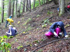 きっとここを掘れば水晶が見つかるはず