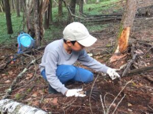 この木の下があやしいぞ