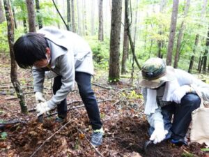 もっと深く掘らないとダメかな