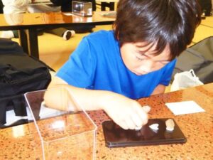 採集した水晶を標本にしています