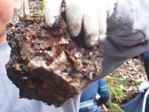 水晶がいっぱいついているよ