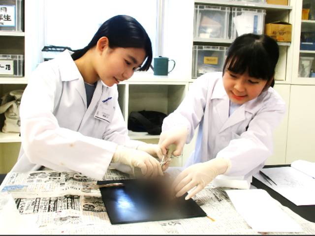 「見える」ってどういうこと？