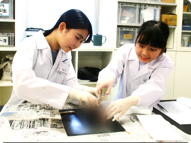 「見える」ってどういうこと？－ブタの脳と目の解剖から学ぶ－