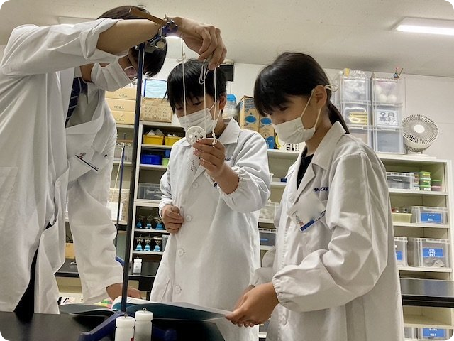 物理（てこ・輪軸）