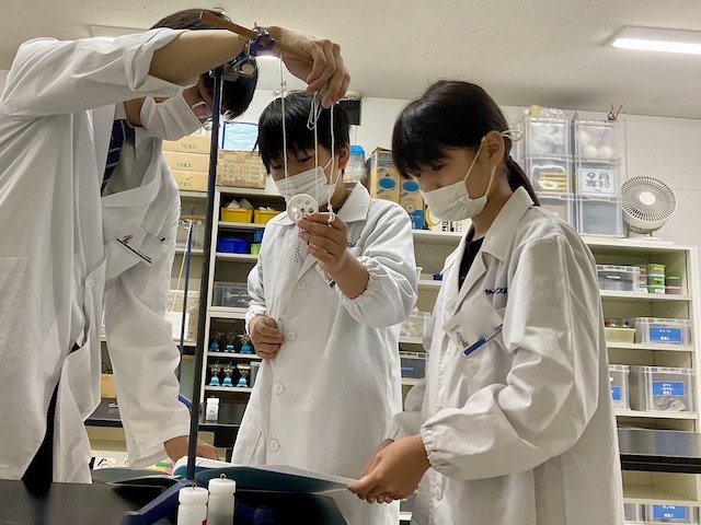 物理（てこ・輪軸）