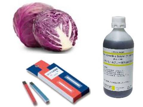 試薬の変化から総合的に判断する力を身につけよう‼