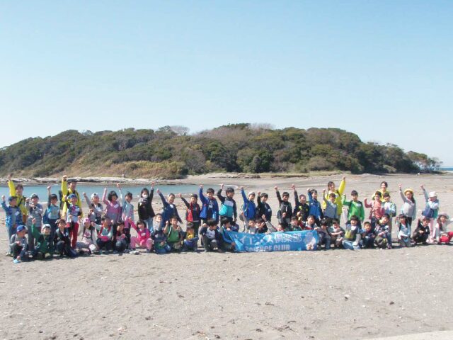 さぐろう!海の生き物たち