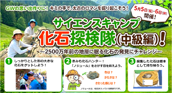 化石探検隊(中級編)!