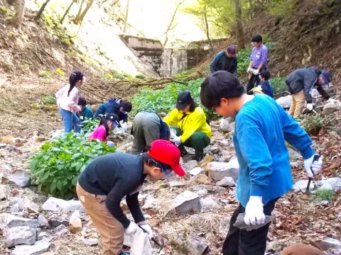 化石を発見したいなら目を鍛えよう!