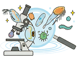 見えない世界をのぞいてみよう