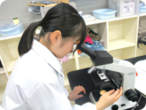 顕微鏡実習_ミクロの世界をさぐろう!