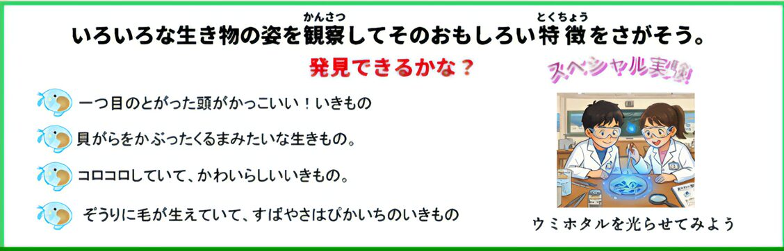 いろいろな生き物の姿を観察