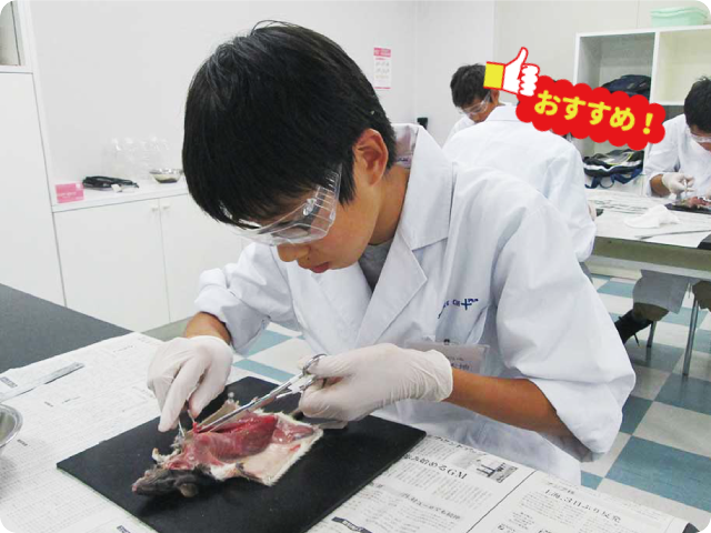 からだのつくりを解明！「ラットの解剖」