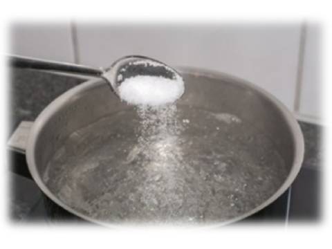 プニプニのヒミツを発見!