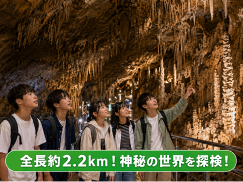 関東最大級の鍾乳洞・不二洞