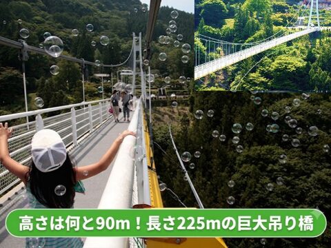 上野スカイブリッジ