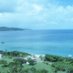 大浜海岸/サンゴ礁が広がるとてもきれいな砂浜。生き物観察も砂浜で行います。 大浜海岸