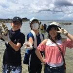 ビーチコーミング/白い砂浜でビーチコーミング。浜辺に漂流した貝殻や流木などを拾い集めてみよう! ビーチコーミング