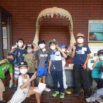 博物館で1500万年前秩父にいた巨大鮫の歯や海獣の化石を見学。 埼玉県立自然の博物館