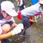 丁寧にじっくり探すのが化石をゲットするコツ 丁寧にじっくり化石を探す