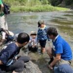 化石見つけたよ! 化石見つけたよ!