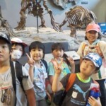 土の地層のどんな化石が見つかったかな? 埼玉県立自然の博物館