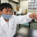 頭・胸・腹、足の数や形、口など、昆虫を観察し調べてみよう。 頭・胸・腹、足の数や形、口など、昆虫を観察し調べてみよう