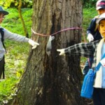 秘伝のトラップを作ったら、ここぞという場所に仕掛けます。 秘伝のトラップ