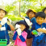 採った虫を確認したり仲間と交換したり。虫好きの血が騒ぎます。 採った虫を仲間と交換