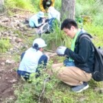 これはすごいの見つけちゃったよ すごいの見つけちゃった