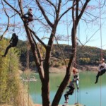 ツリーイングの様子